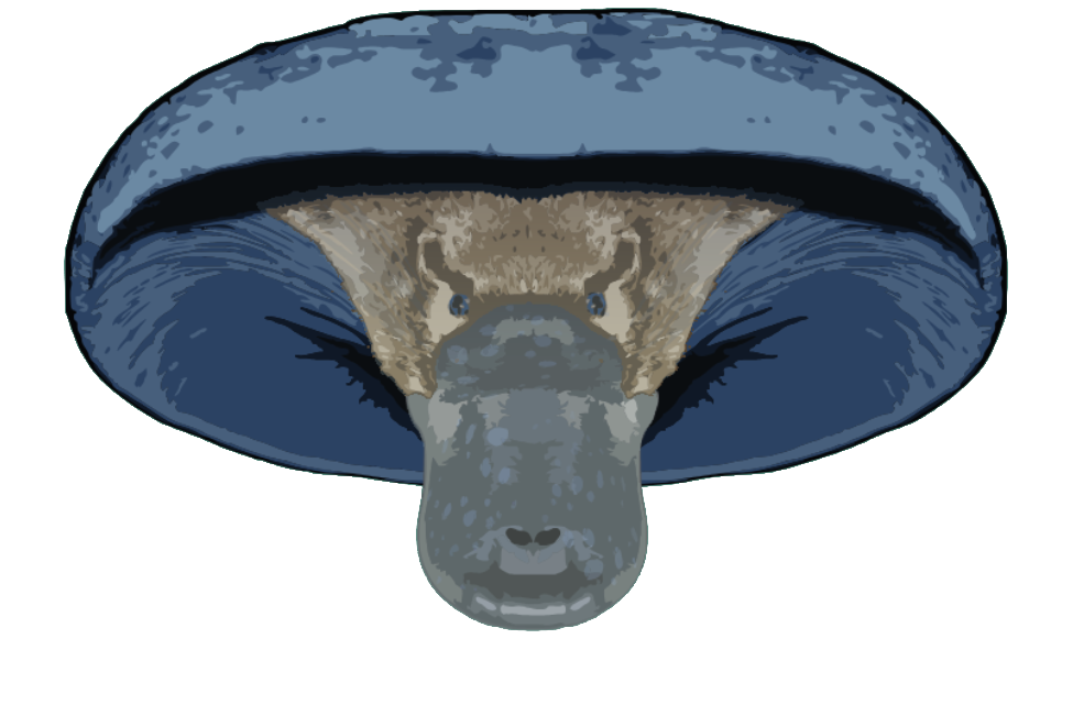 Mushroom Platypus Creature