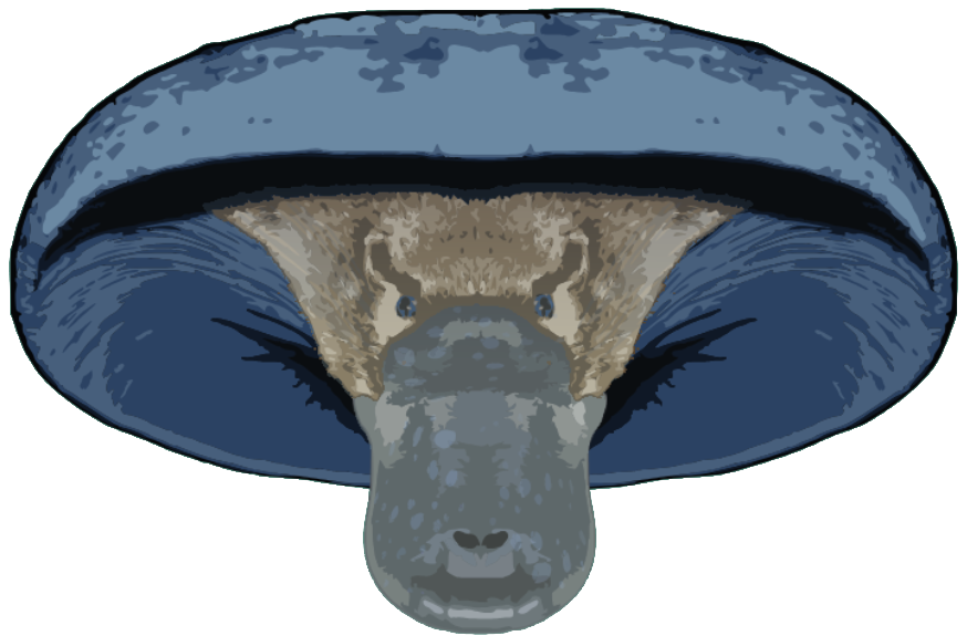 Mushroom Platypus Creature